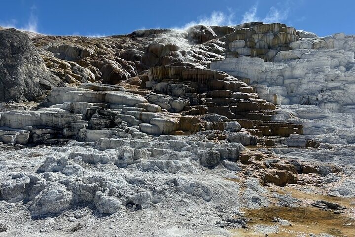 Private Guided Tour in Yellowstone National Park