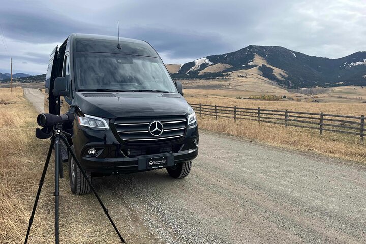 Private Guided Tour in Yellowstone National Park