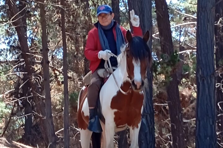 Mauco Hill Hiking & Horseback Riding on the Beach From VALPARAISO