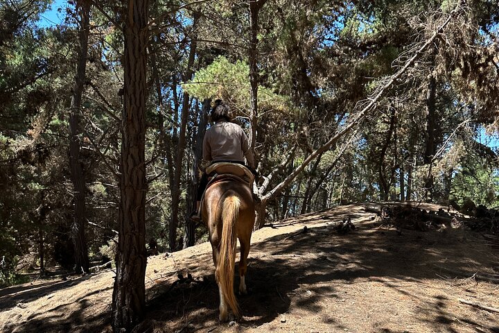 Mauco Hill Hiking & Horseback Riding on the Beach From VALPARAISO