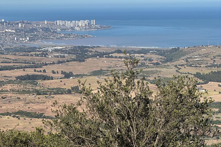Mauco Hill Hiking & Horseback Riding on the Beach From VALPARAISO