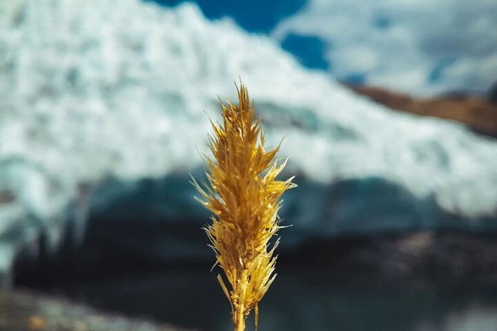 Huaraz: Pastoruri Glacier - Day Tour - Ice and Adventure
