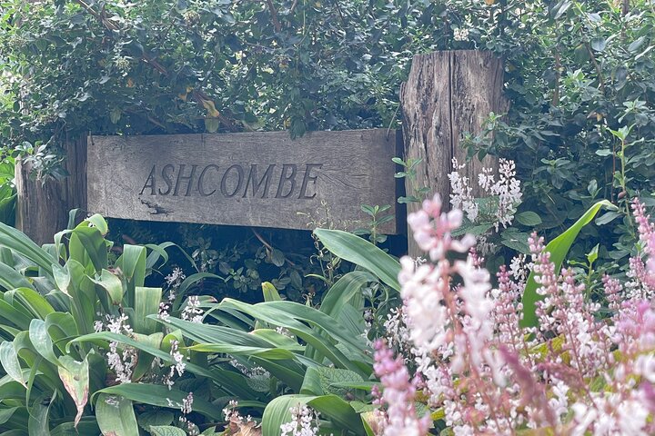 Ashcombe Maze & Lavender Gardens