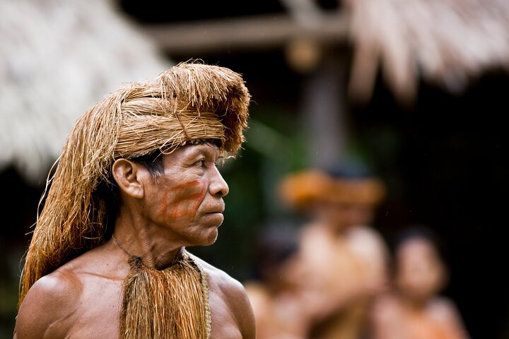 Iquitos: 2 Day Amazon Rainforest Discovery - Iquitos Jungle Tour