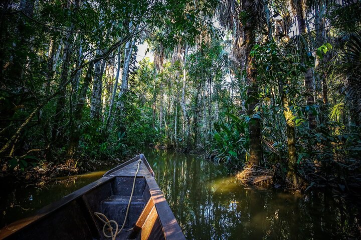 Iquitos: 2 Day Amazon Rainforest Discovery - Iquitos Jungle Tour