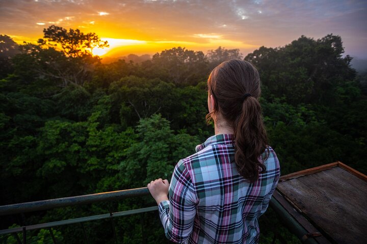 Iquitos: 2 Day Amazon Rainforest Discovery - Iquitos Jungle Tour