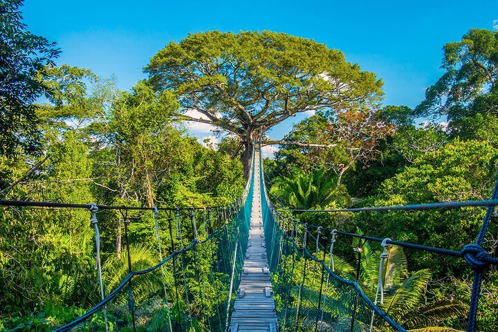 Iquitos: 2 Day Amazon Rainforest Discovery - Iquitos Jungle Tour