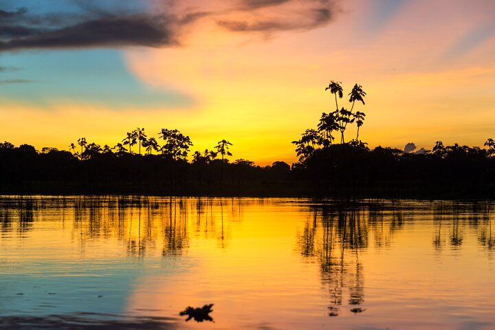 Iquitos: 2 Day Amazon Rainforest Discovery - Iquitos Jungle Tour