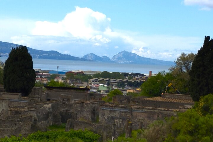 Pompeii private tour with an Official Guide