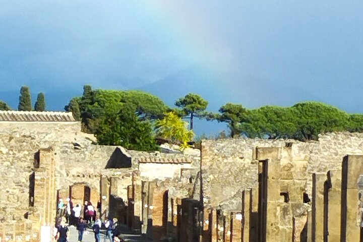 Pompeii private tour with an Official Guide