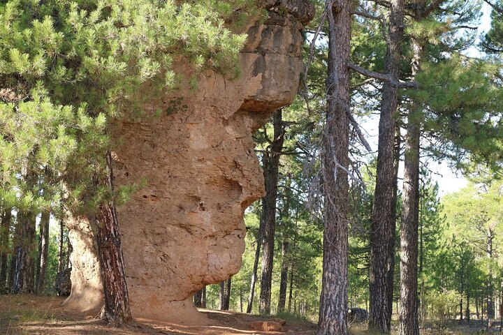 Excursion to the Enchanted City from Cuenca