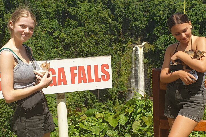 Full-Day Upolu Island Highlights Tour from Apia