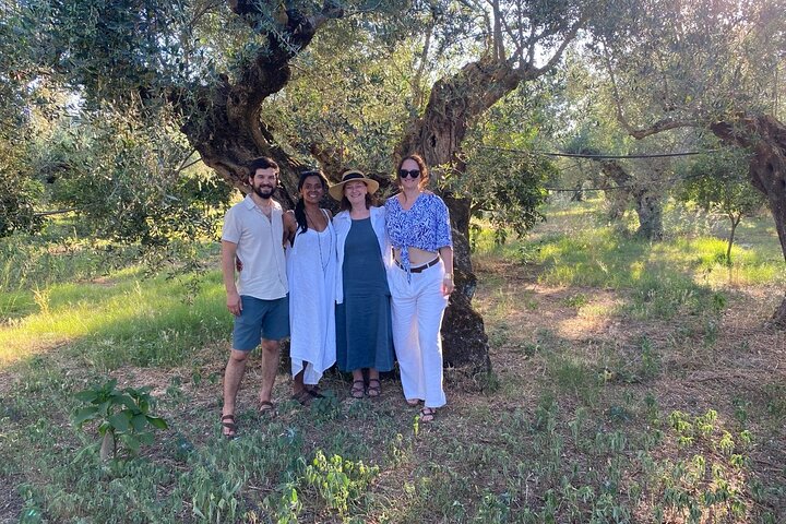 Organic Olive Grove tour & Olive oil tasting & lunch in Kalamata!