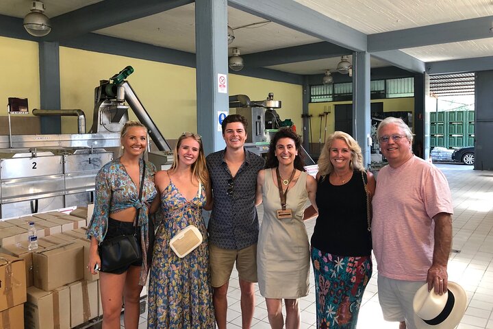 Organic Olive Grove tour & Olive oil tasting & lunch in Kalamata!
