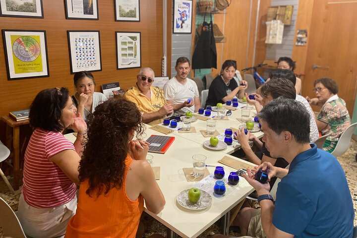 Organic Olive Grove tour & Olive oil tasting & lunch in Kalamata!