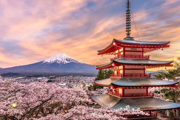 Fuji/Hakone Private Tour with English Guide & Fully Customizable