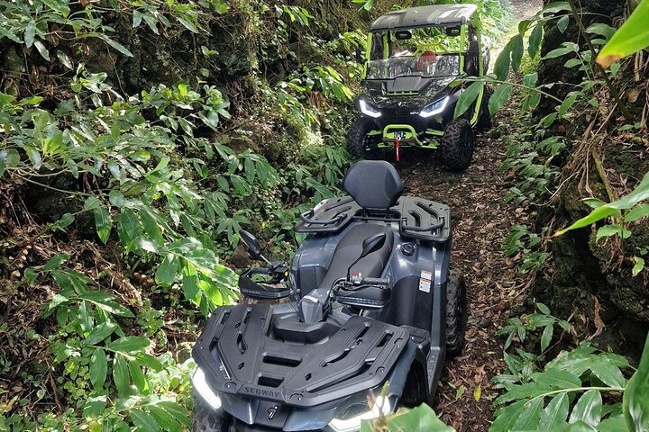 3H Buggy tour of Pico Island vineyards