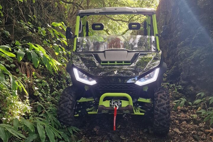 3H Buggy tour of Pico Island vineyards