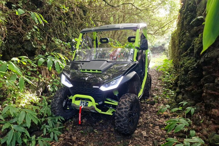 3H Buggy tour of Pico Island vineyards