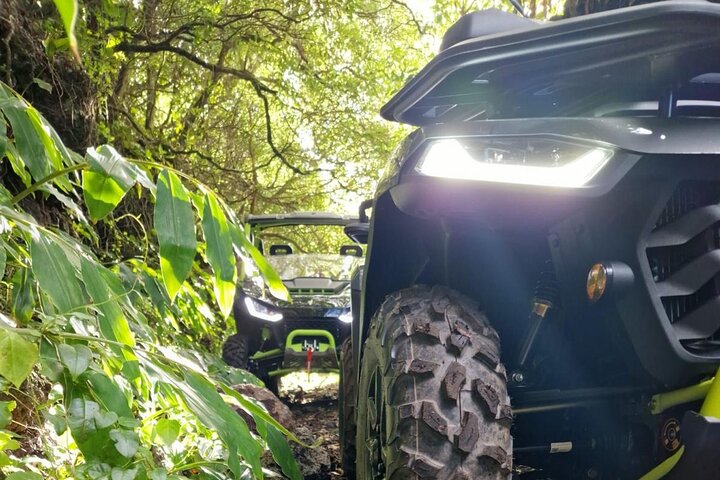3H Buggy tour of Pico Island vineyards
