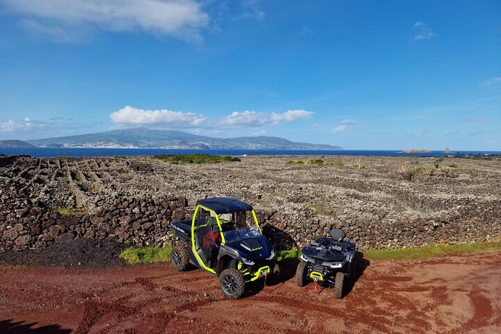 3H Buggy tour of Pico Island vineyards