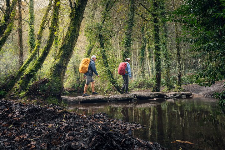Camino DE Santiago Premium French DE Sarria to Santiago