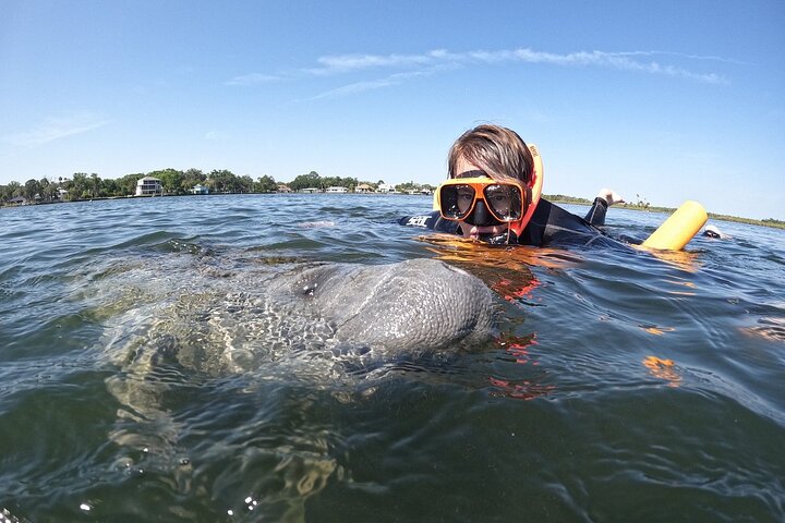 Classic Crystal River Manatee Swim Tour with Free Photos