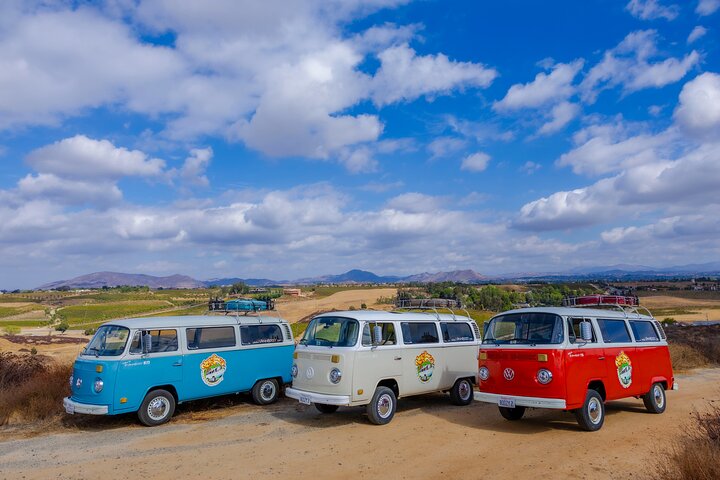 VW Bus 2-Stop Wine Tour Temecula - Retro Cali Vibes