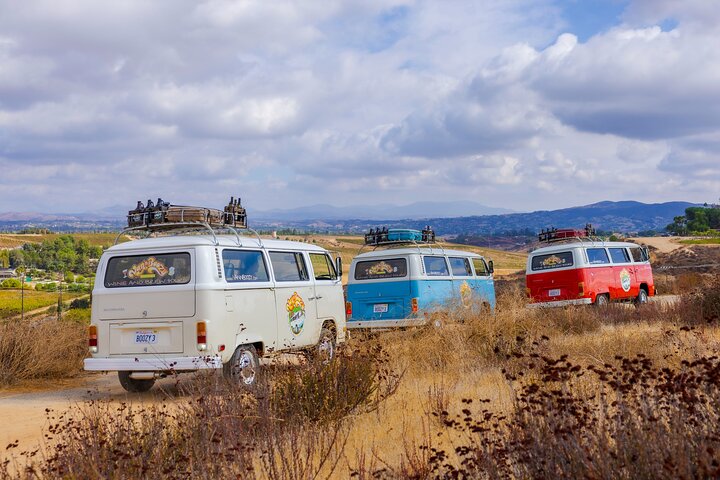 VW Bus 2-Stop Wine Tour Temecula - Retro Cali Vibes