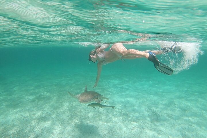 Nassau 3-stops: Snorkeling, Swimming Pigs, Turtles & Lunch