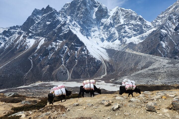10 Days Everest Base Camp Trek from Lukla