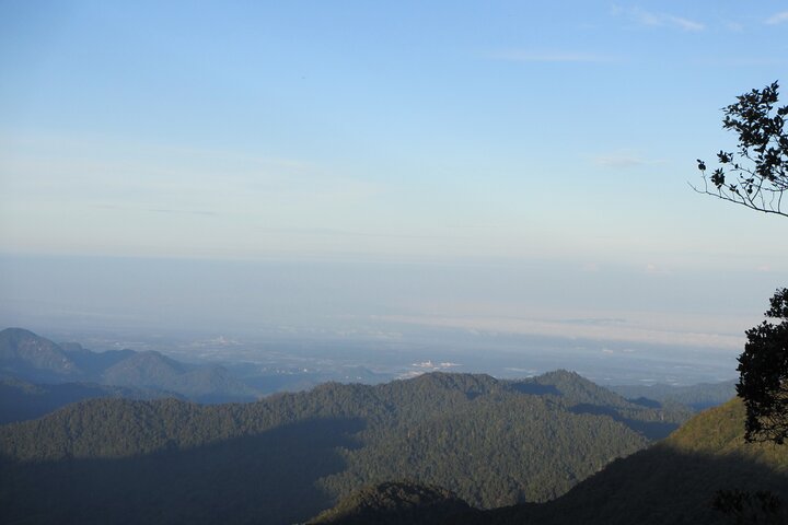 Mossy Forest in Brinchang Tour