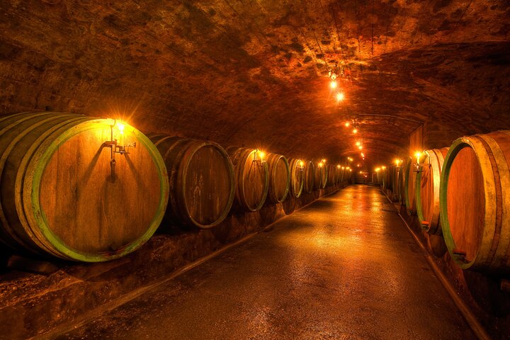 Wine Tour and Cruise Trier Private Tour
