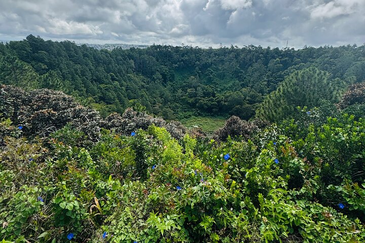 Private South Tour Visit To Vallee Adventure Park Including Lunch