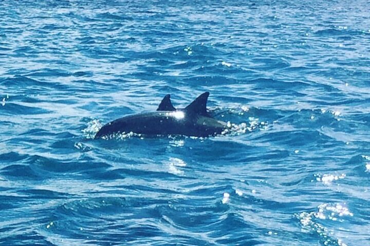 Set Sail on an All Inclusive Catamaran to Ile Aux Benitiers