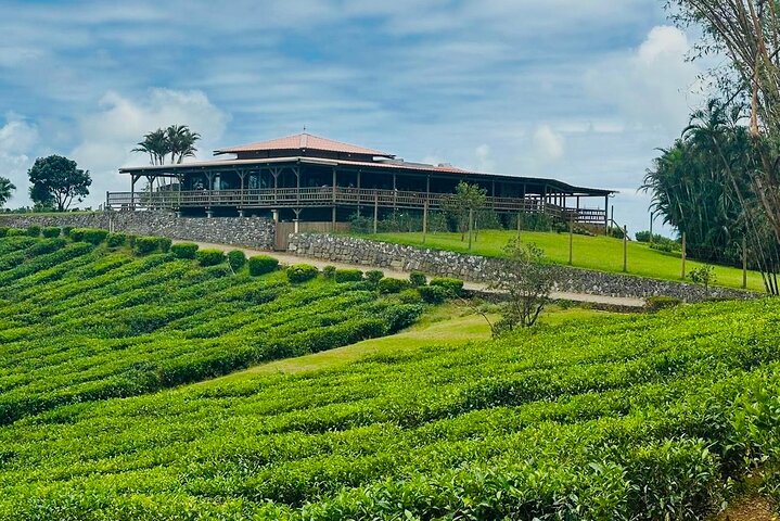 South Mauritius Rhum, Lychee Wine And Tea Tasting Tour