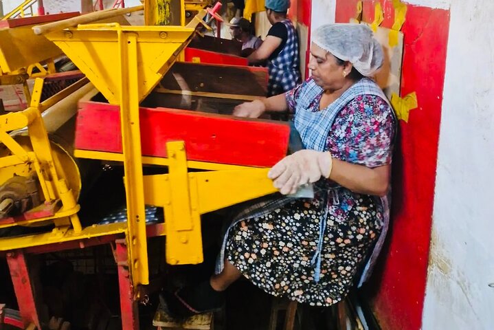 South Mauritius Rhum, Lychee Wine And Tea Tasting Tour