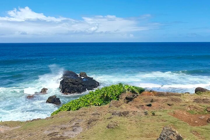South Mauritius Rhum, Lychee Wine And Tea Tasting Tour