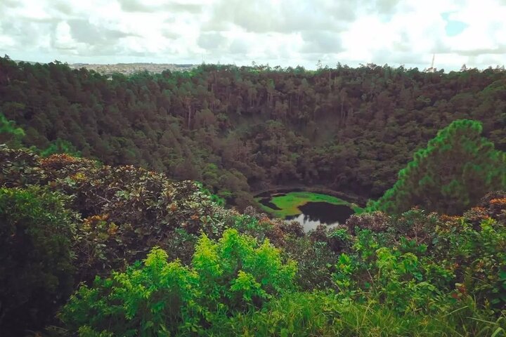 South Mauritius Rhum, Lychee Wine And Tea Tasting Tour