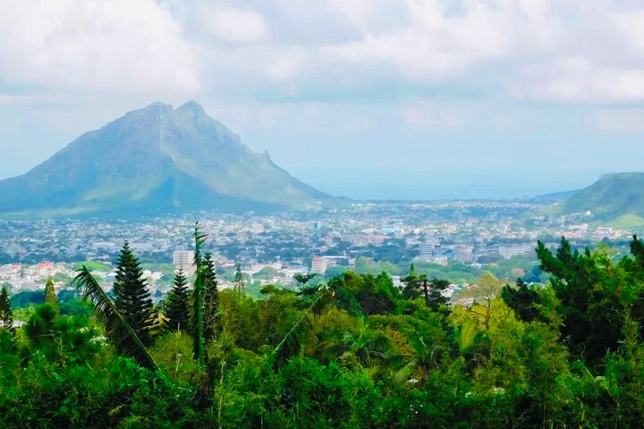 South Mauritius Rhum, Lychee Wine And Tea Tasting Tour
