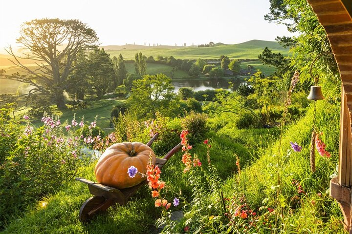 From Hamilton Hobbiton Waitomo Glowworm Caves 1 Day Private Tour