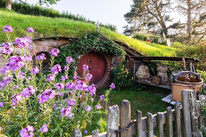 From Hamilton Hobbiton Waitomo Glowworm Caves 1 Day Private Tour