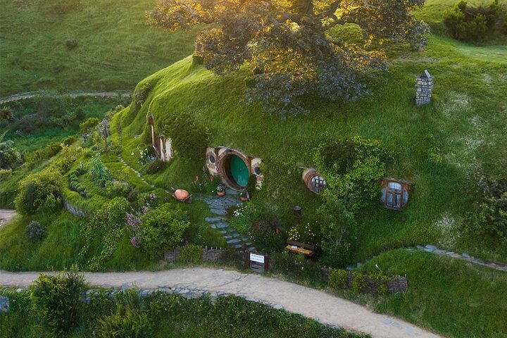 From Hamilton Hobbiton Waitomo Glowworm Caves 1 Day Private Tour