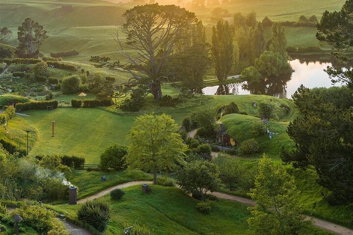 From Hamilton Hobbiton Waitomo Glowworm Caves 1 Day Private Tour