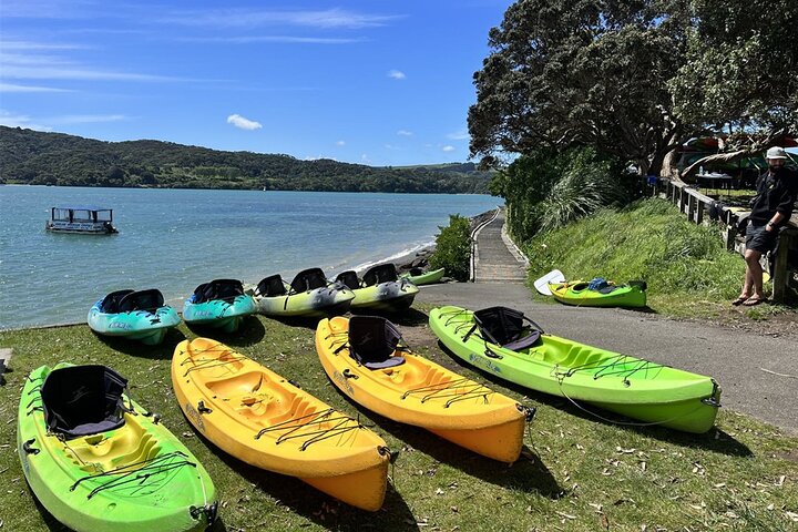 2 Day Hobbiton Waitomo Caves Raglan Private Tour from Hamilton