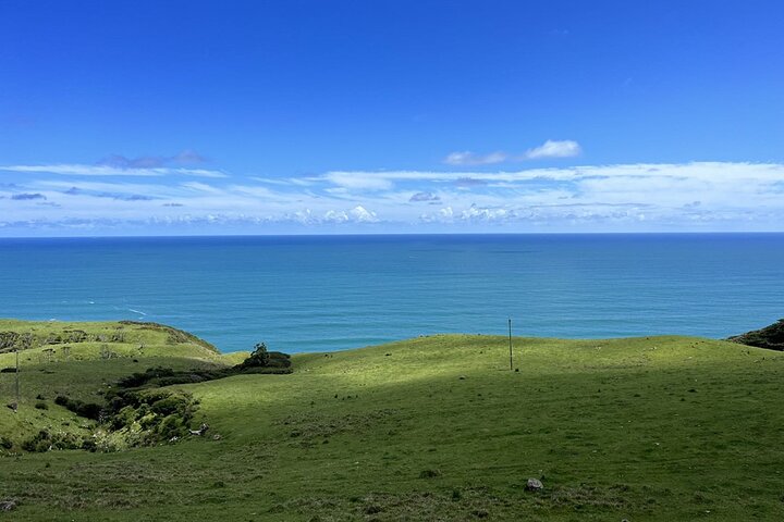 2 Day Hobbiton Waitomo Caves Raglan Private Tour from Hamilton