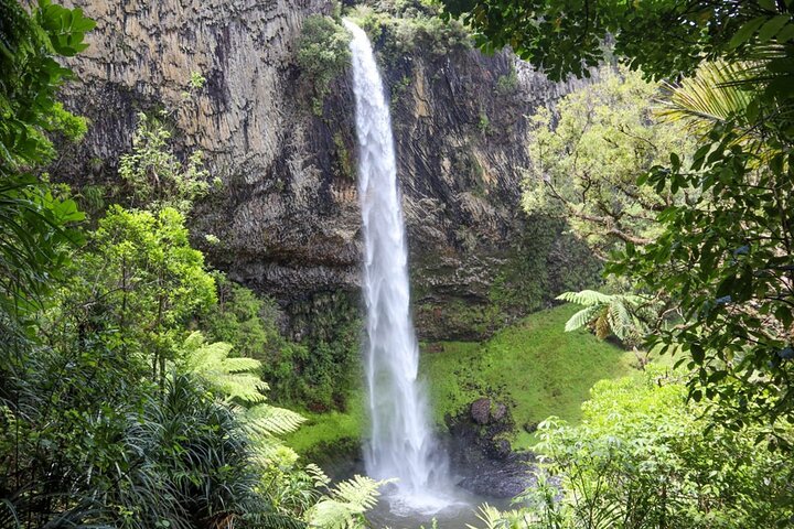 2 Day Hobbiton Waitomo Caves Raglan Private Tour from Hamilton