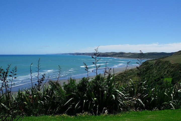 2 Day Hobbiton Waitomo Caves Raglan Private Tour from Hamilton