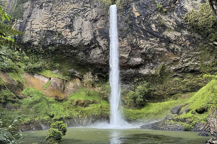 2 Day Hobbiton Waitomo Caves Raglan Private Tour from Hamilton