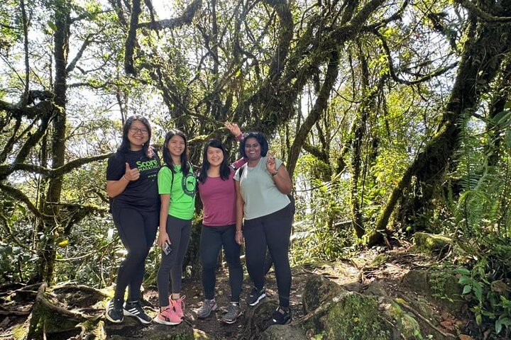 Full Day Mossy Forest Experience
